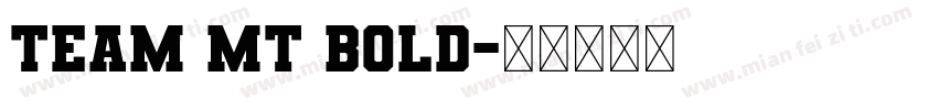 Team MT Bold字体转换